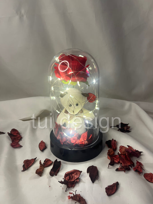 Ayıcıklı Ledli Fanus