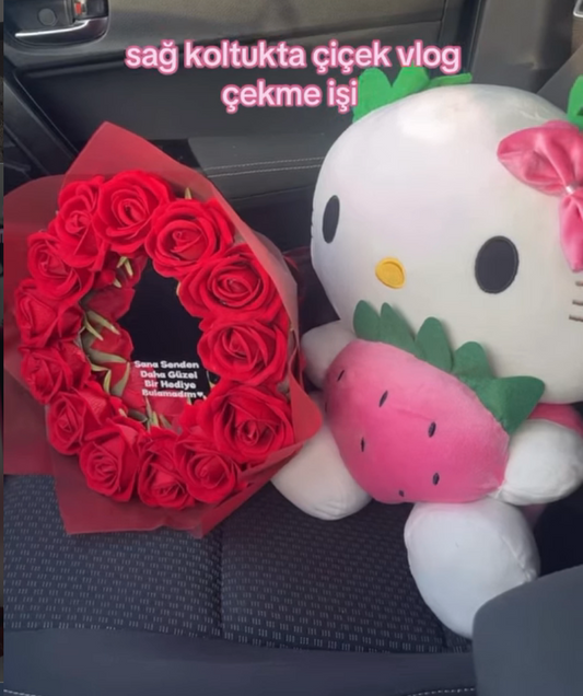 Sağ koltuk vlog set